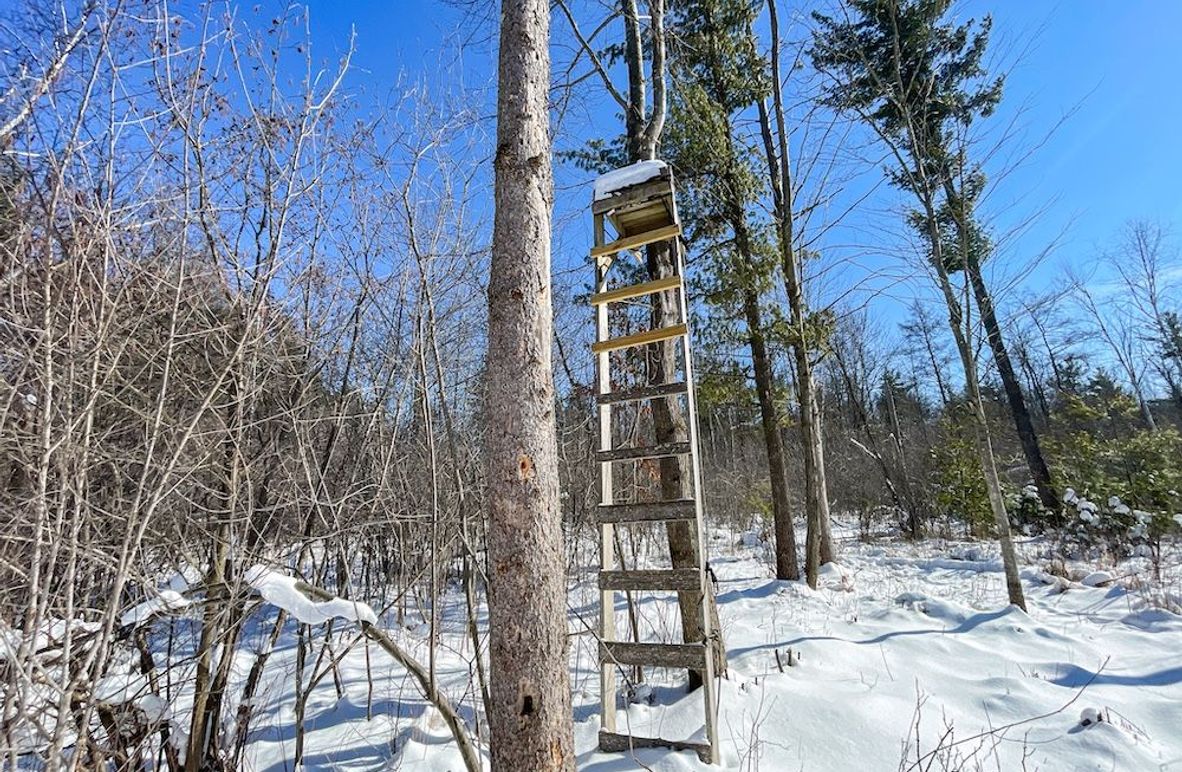 Portage 13.596, Van Asten-3