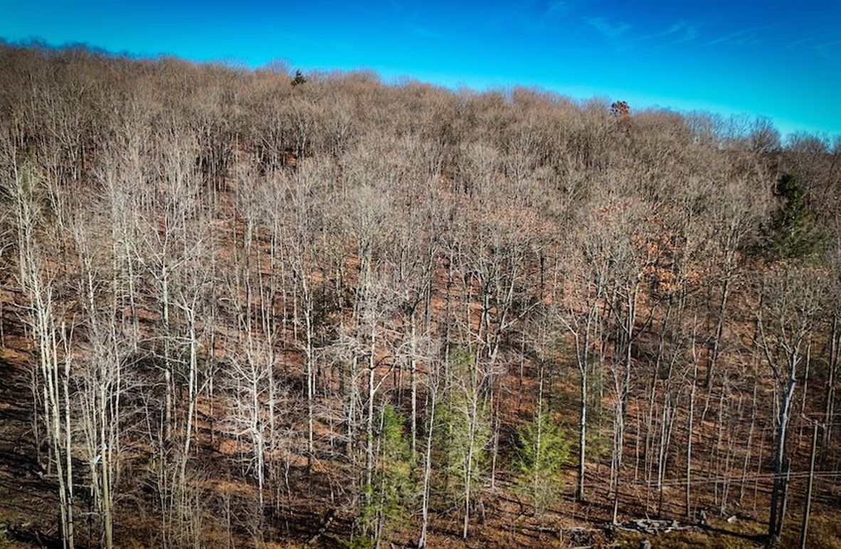 Chemung_31.75_Seymour_South_Photos_4