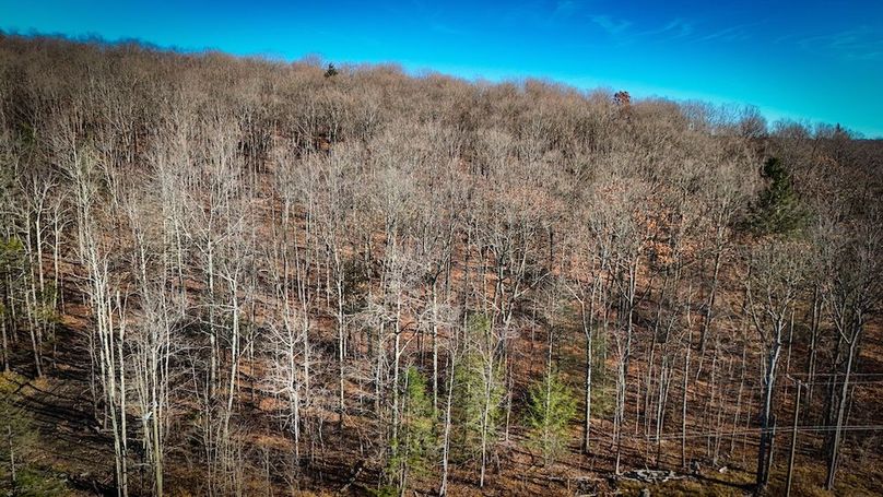 Chemung_31.75_Seymour_South_Photos_4