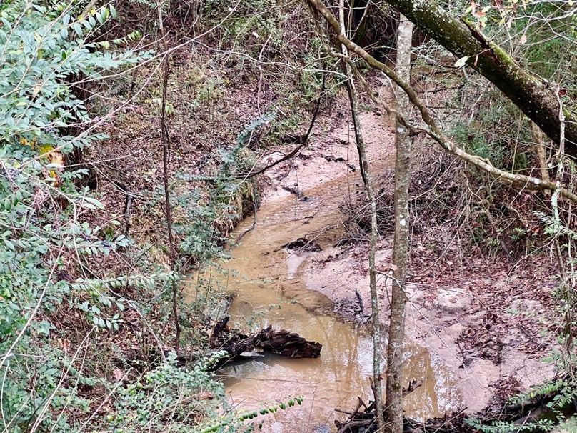 2153E962-C24D-4768-BEC8-B50B58C67740_1_201_a