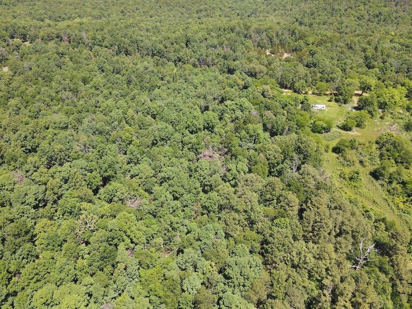 dji_fly_20260507_122340_740_1778174636711_photo