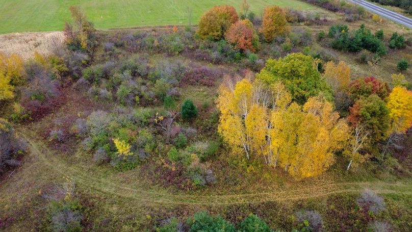 Hauger 15 Still Shots-02