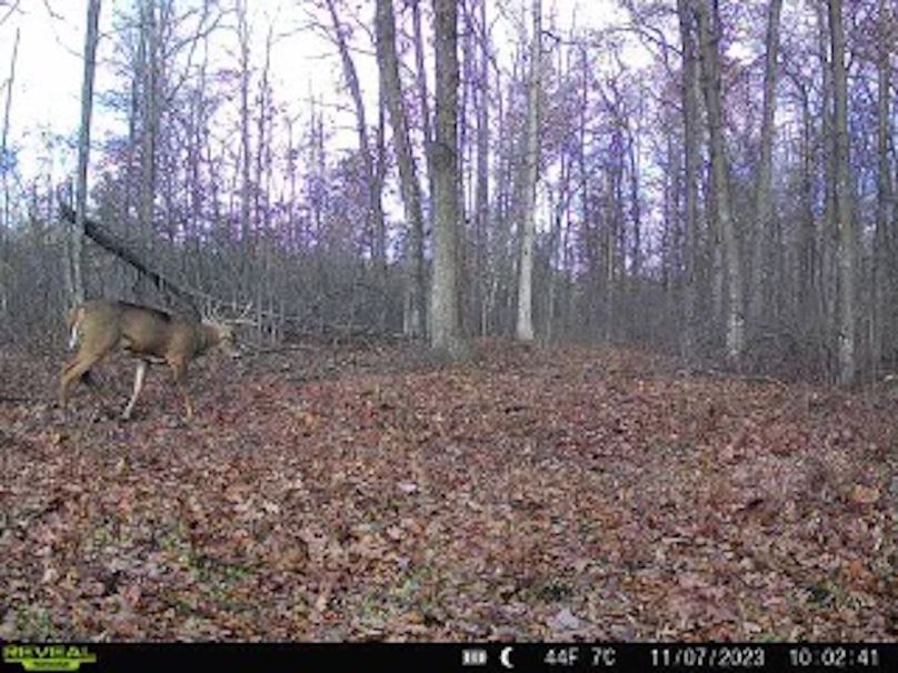 ClarK 160 WILLIAMS -62h