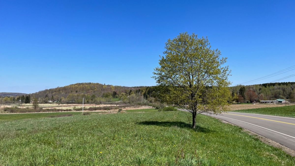 Building And Recreational Lot Near Randolph, NY Lot 1 Whitetail