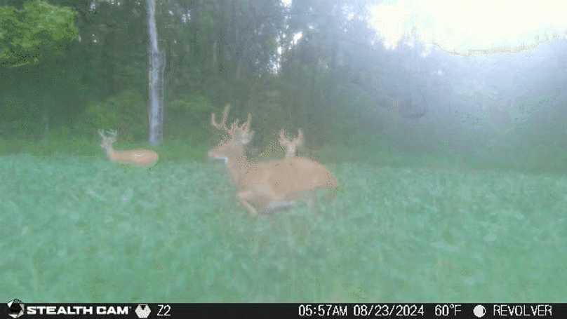 24082305573601000586