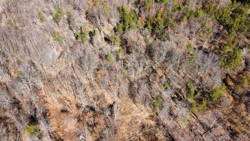 dji_fly_20240306_110218_32_1709744816993_photo_optimized