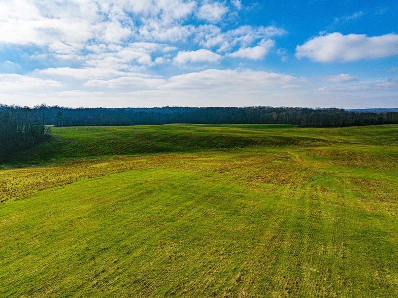 Henry 137 Miller-21-2