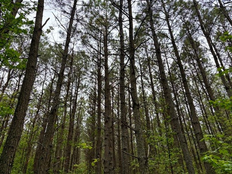 9B62236E-F8AC-4CD1-BB45-4B8AC2C0DE0D_1_105_c