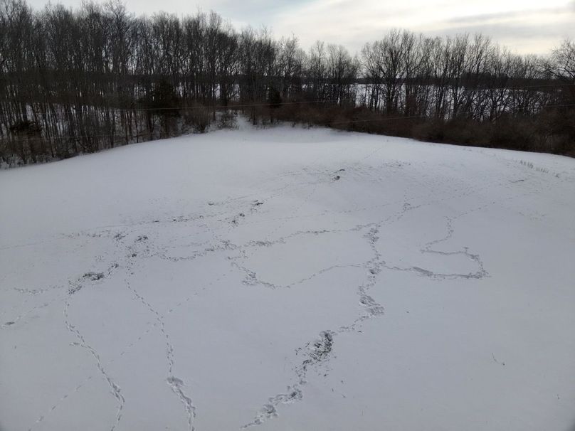 Copy of Tract 1 small field south next to Lodge Large