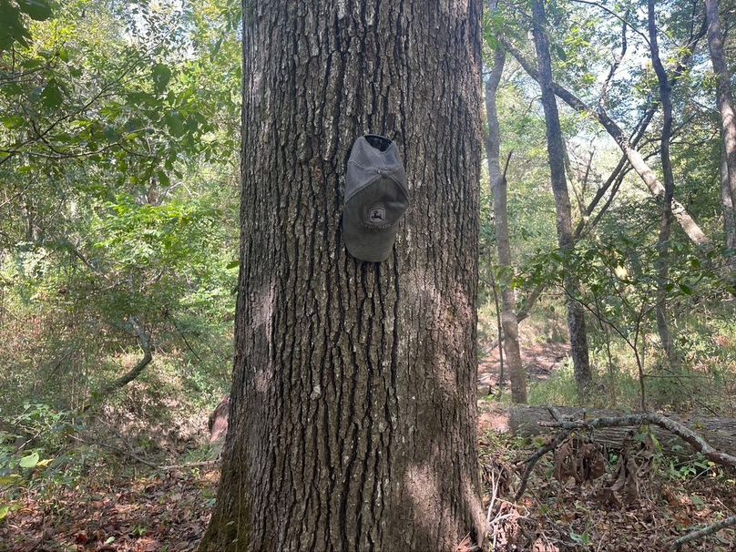 85446853-A7CD-42FD-8066-1CEC3010D3C7_1_105_c