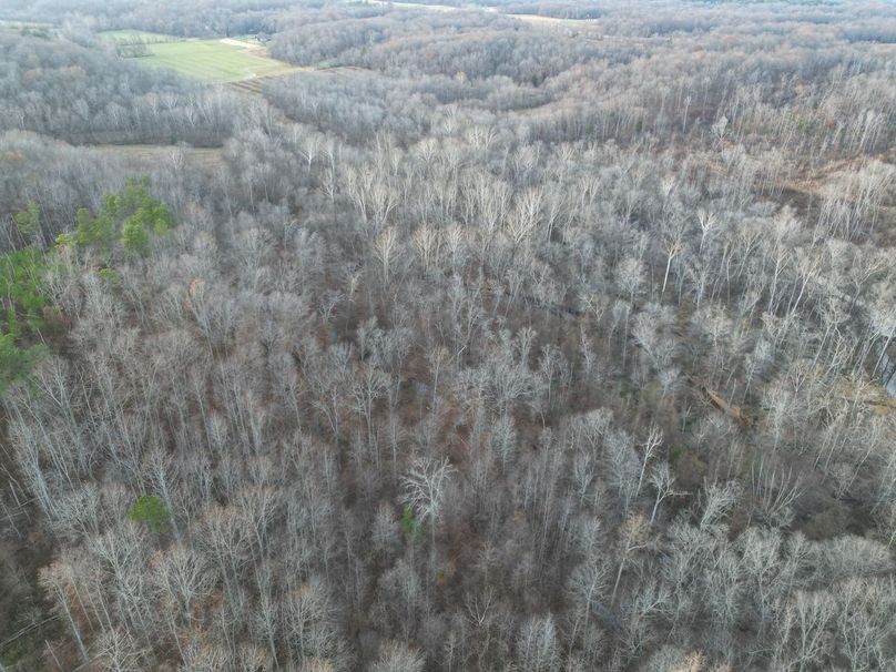 dji_fly_20231130_052612_272_1701905203246_photo