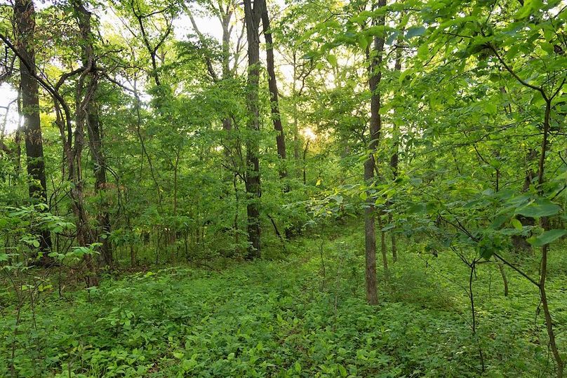 woods mixed