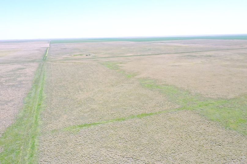 DJI_0681