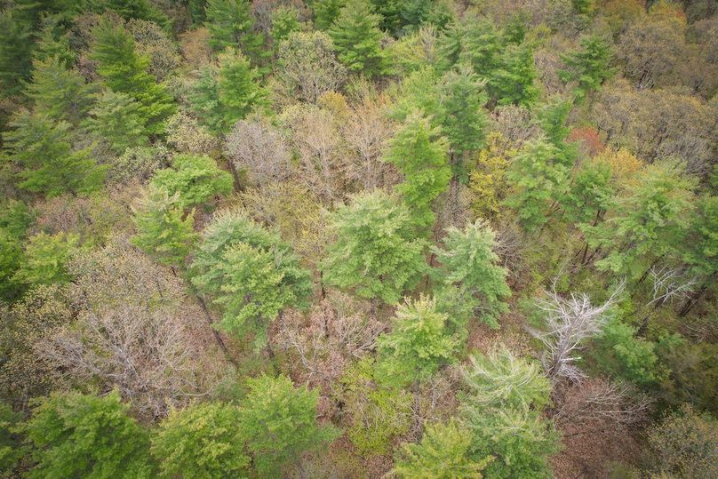 Jefferson_148.1_Flood_Photos_74