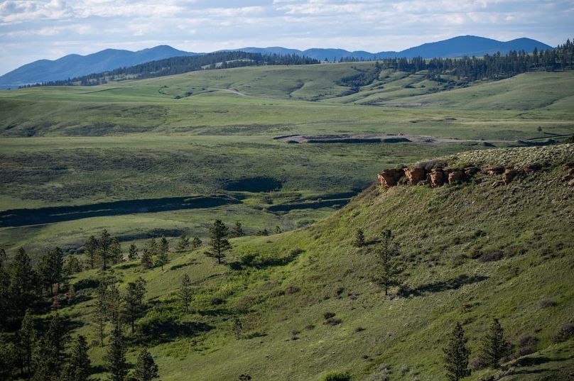 63C6EFF8-B53F-482B-9D8D-FBAA1B61F851