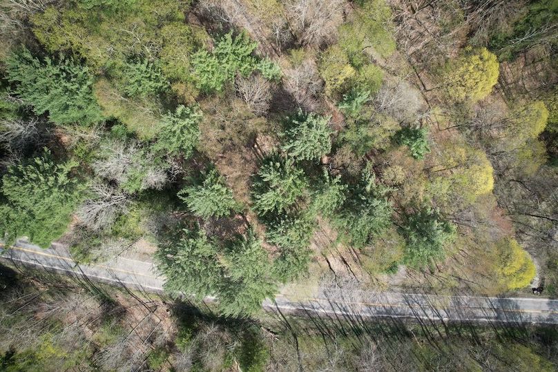 Tioga_76.65_Matyjas_Photos_13 copy