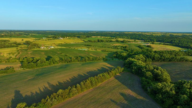 Harrison MO 480 Pro Photo_230 (5)