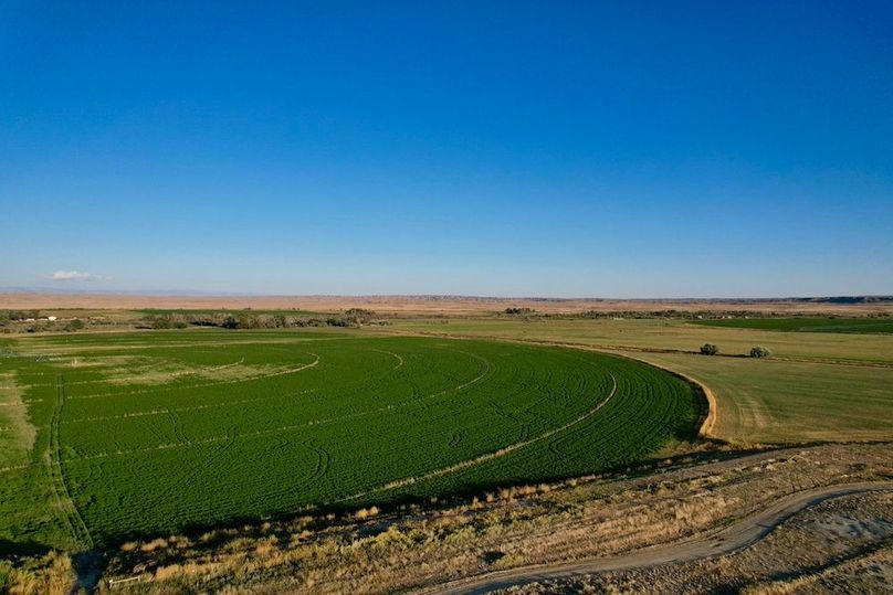 169EA8D6-69E8-4814-B10D-2356999B6724_1_105_c