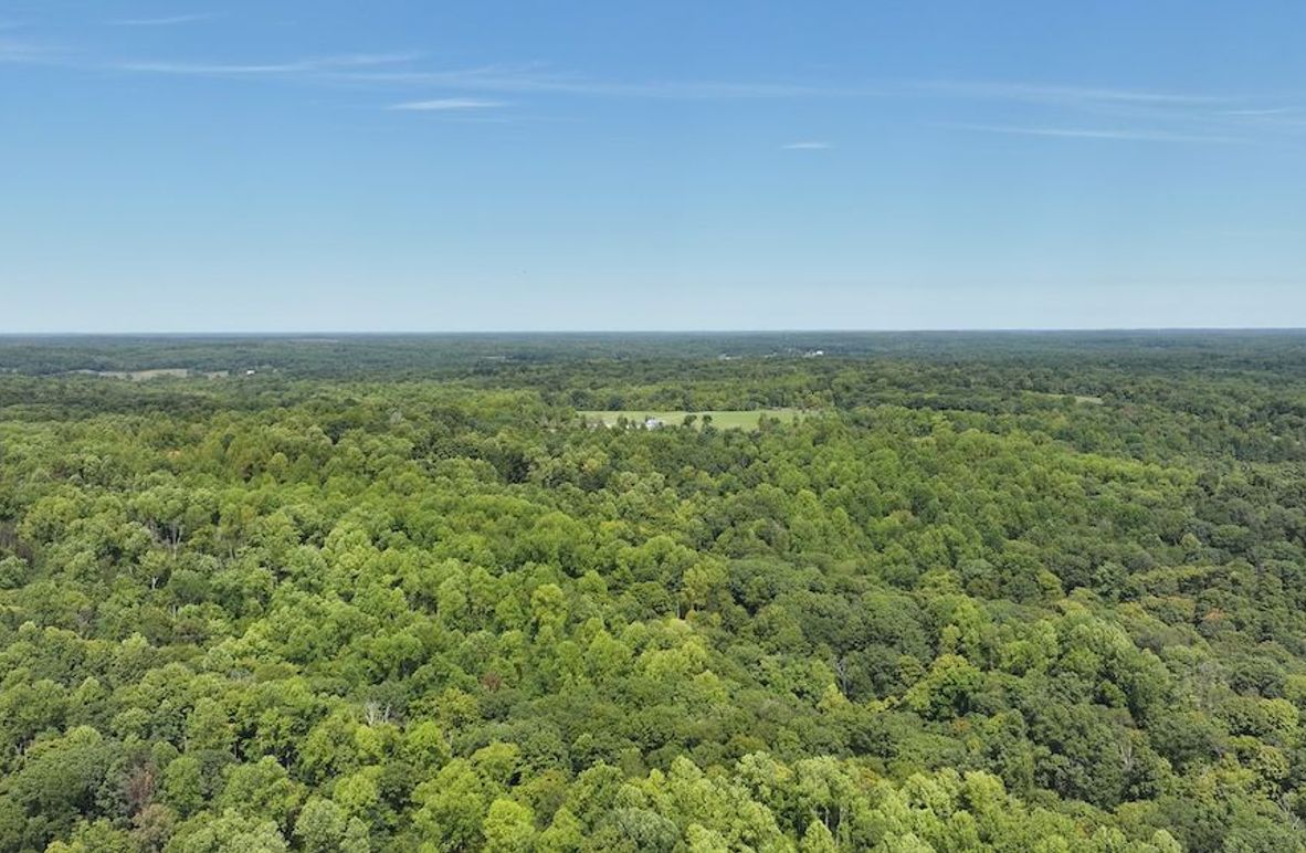 dji_fly_20240904_133044_0374_1725471194500_photo