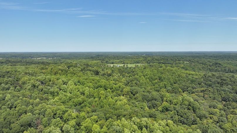 dji_fly_20240904_133044_0374_1725471194500_photo