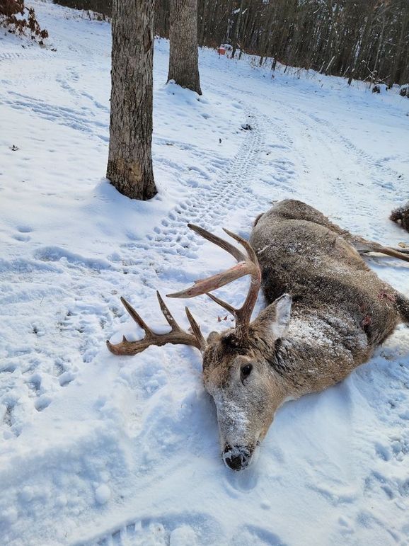 Resized_20221120_090404_66395055962170