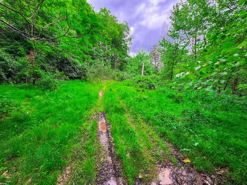 Tyler, WV 313.87 AC -11