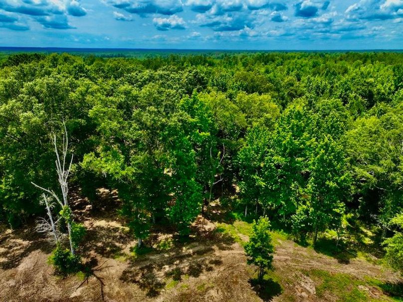 6E5921A2-DA67-4AEA-8B37-86CB8AF55760_1_105_c