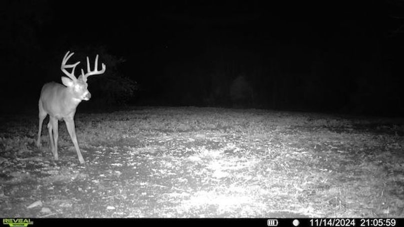 016579000272786-65-3-11142024210559-SYFW01349