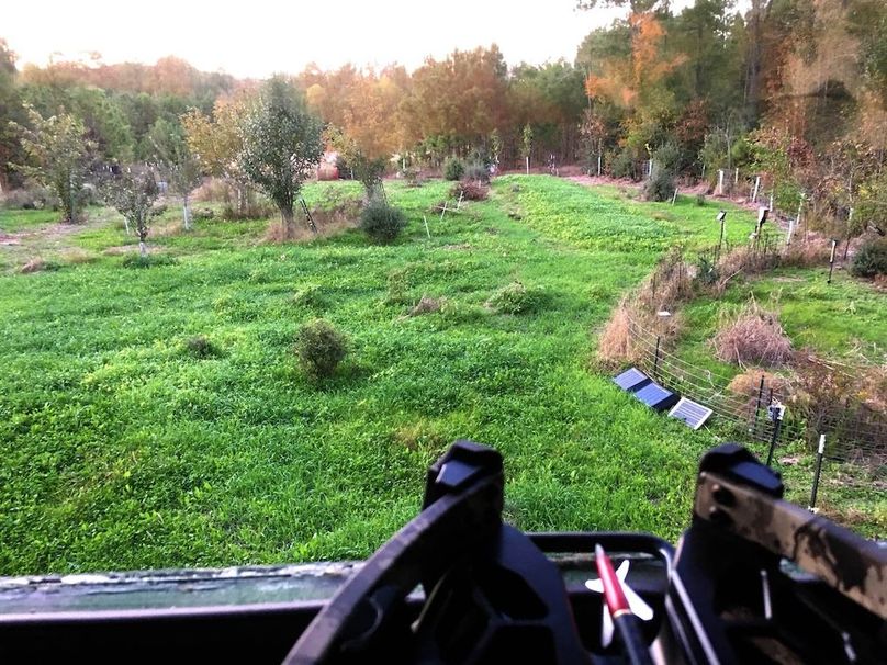 Blind view of Foodplot 5