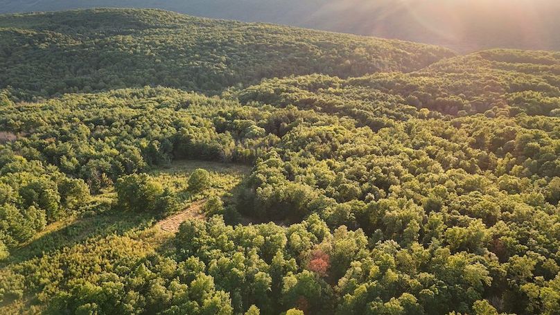 Ontario_33.3_Proseus Photo 46