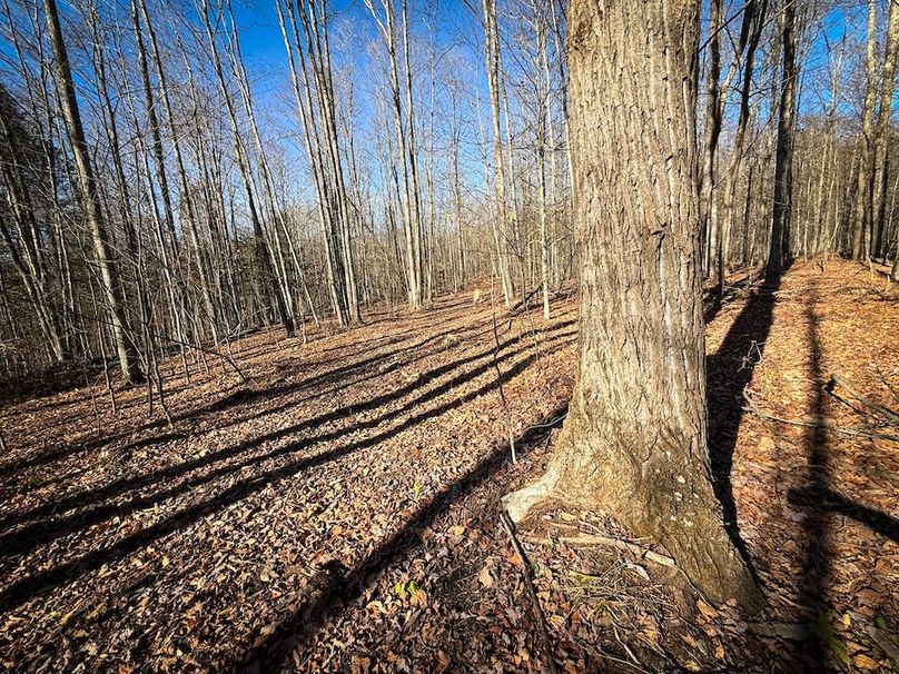 Chemung_31.75_Seymour_South_Photos_23