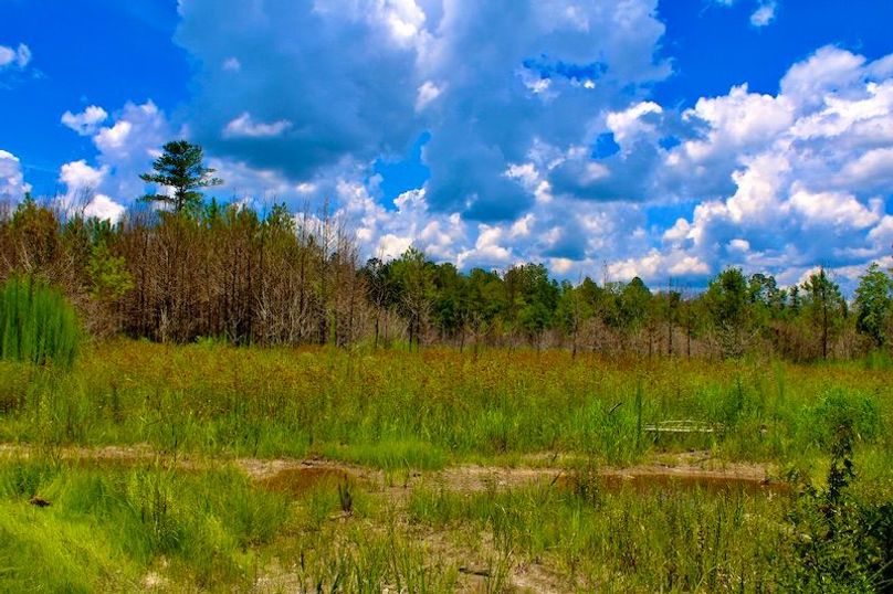 89B02C94-D2D8-4D68-A8CF-423A2F28BA6E_1_201_a