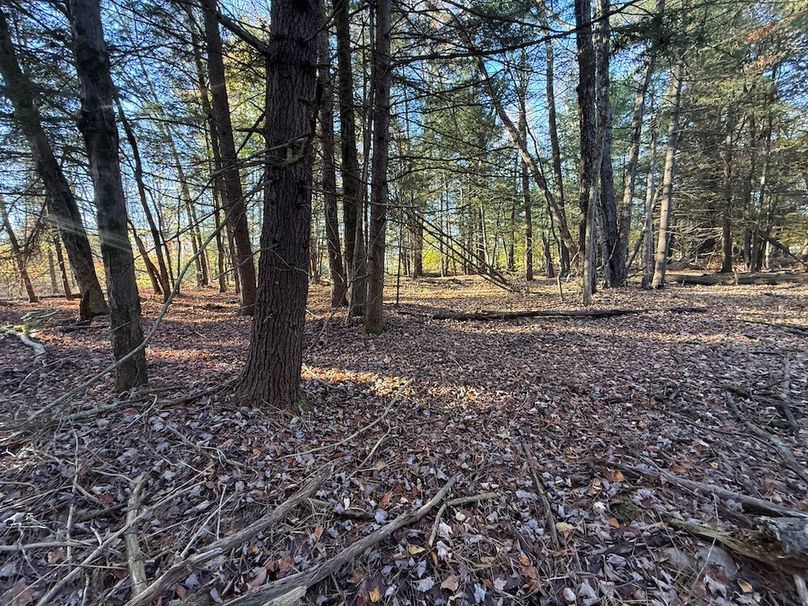 Oswego_26.28_Koehler Photo 36