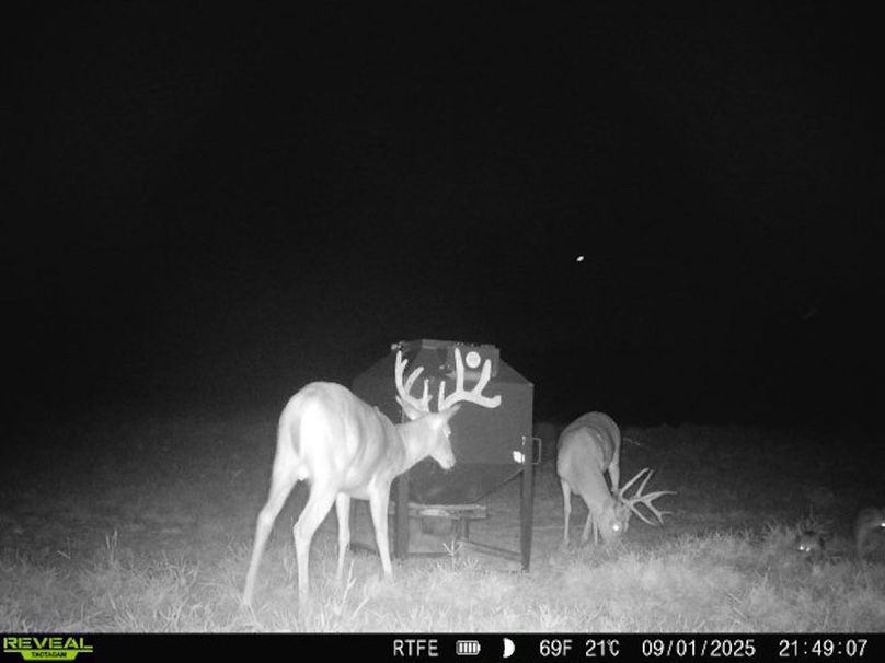 860516063155356-80-4-09012025214906-W1003566