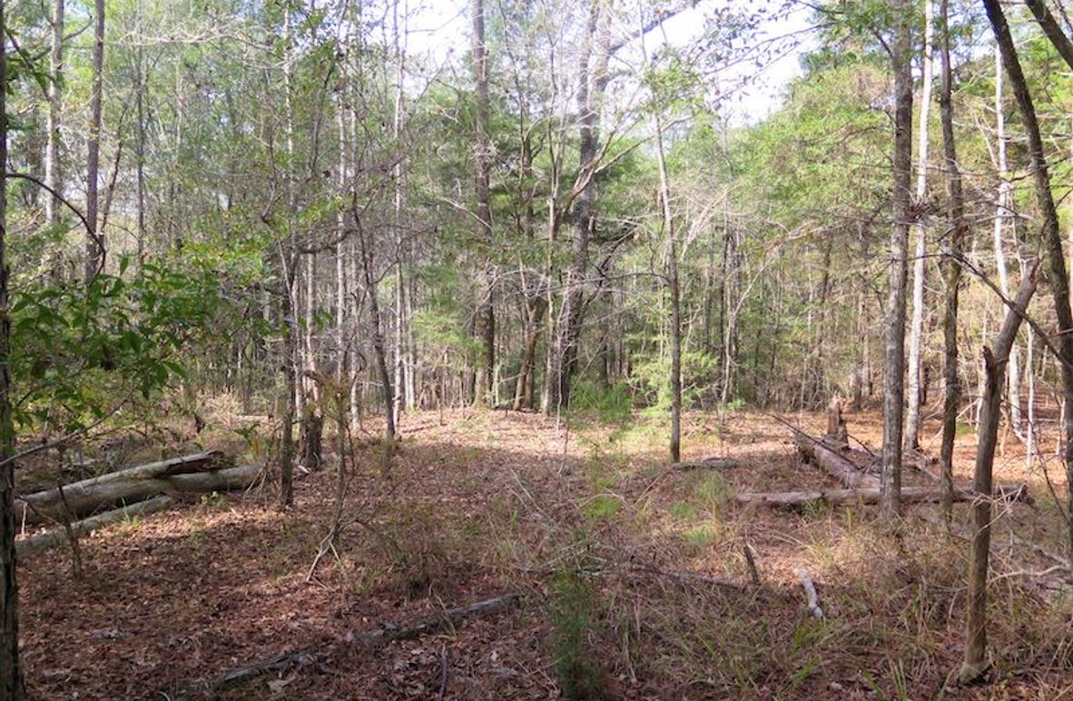 Lauderdale Co - 74 - Gillentine-03