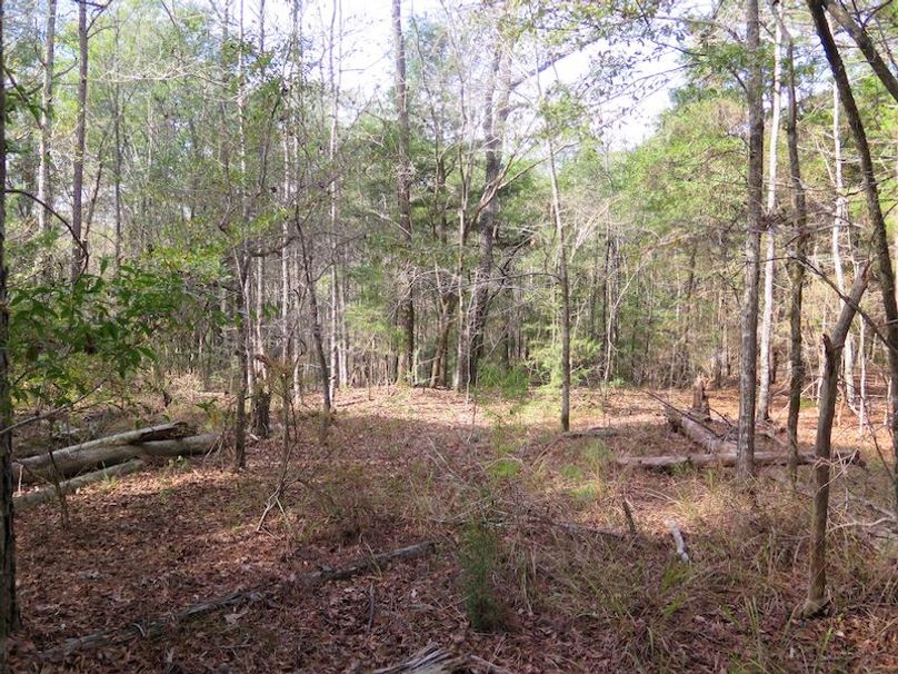 Lauderdale Co - 74 - Gillentine-03