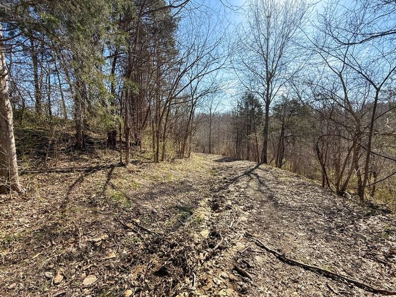 Fleming Petry 120-061