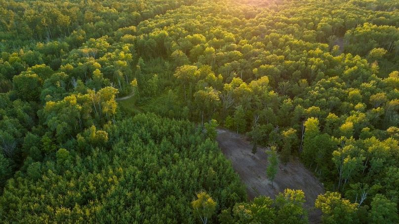 Cass MN 1095 Featured ProPhoto-107