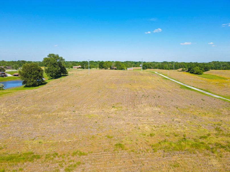 Copy of st clair 25 auction(5)