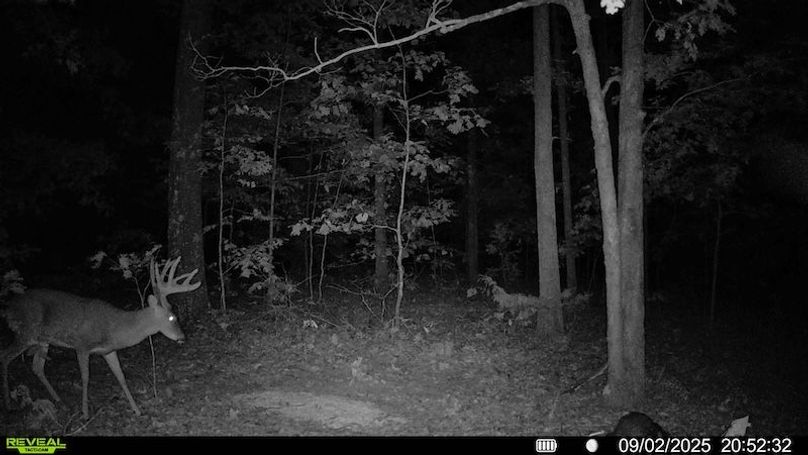 016579000604509-100-2-09022025210019-HD-SYFW08125