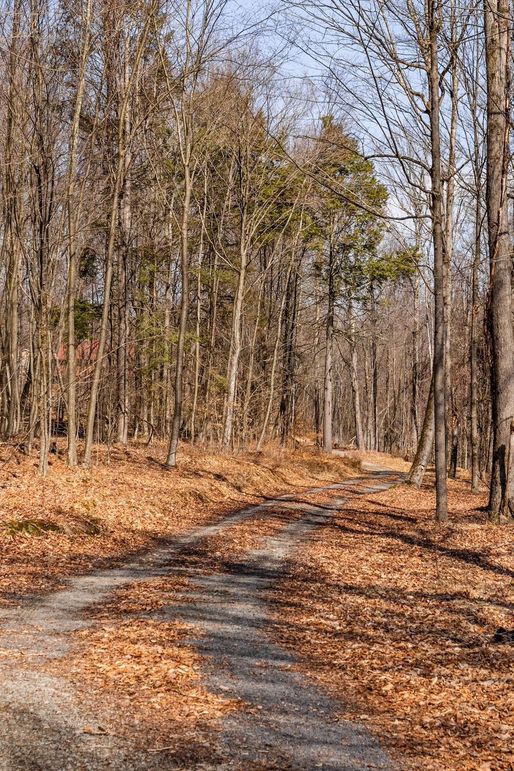 87-web-or-mls-IMG-87