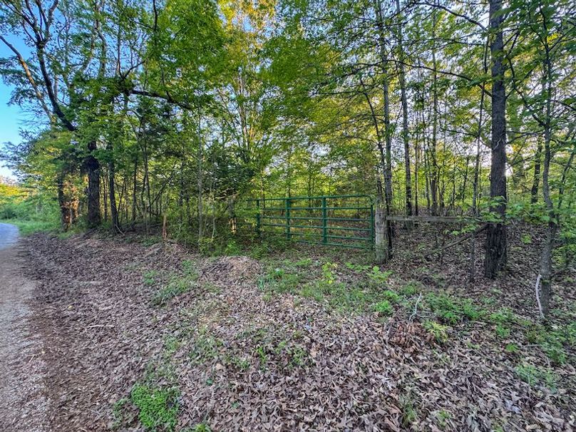 Tallahatchie 44 Newman (Crowden) Wide-55