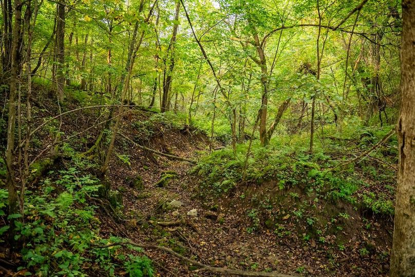 Copy of Winona MN 138 Featured_Pro Photo-20