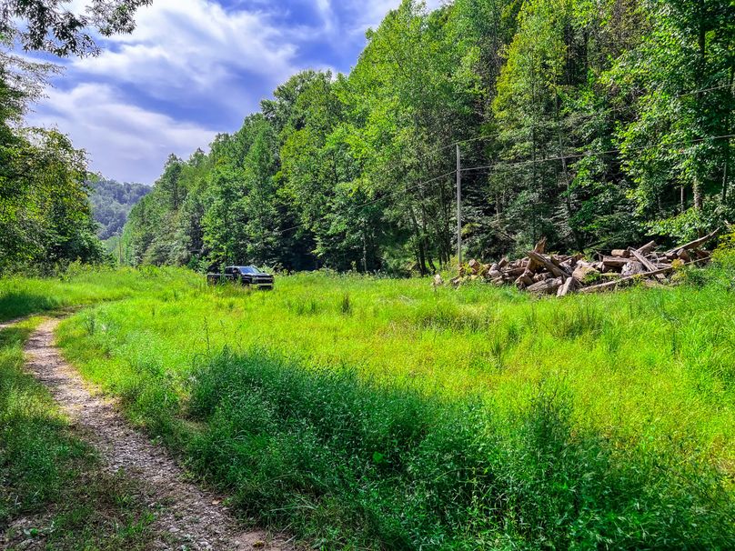 Calhoun, WV 101.8 AC Holly -03