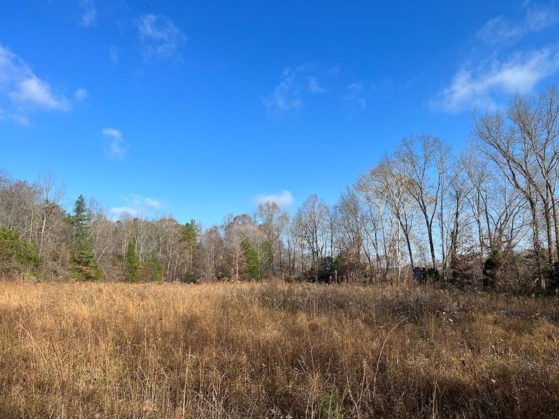 (24)Successional Plot