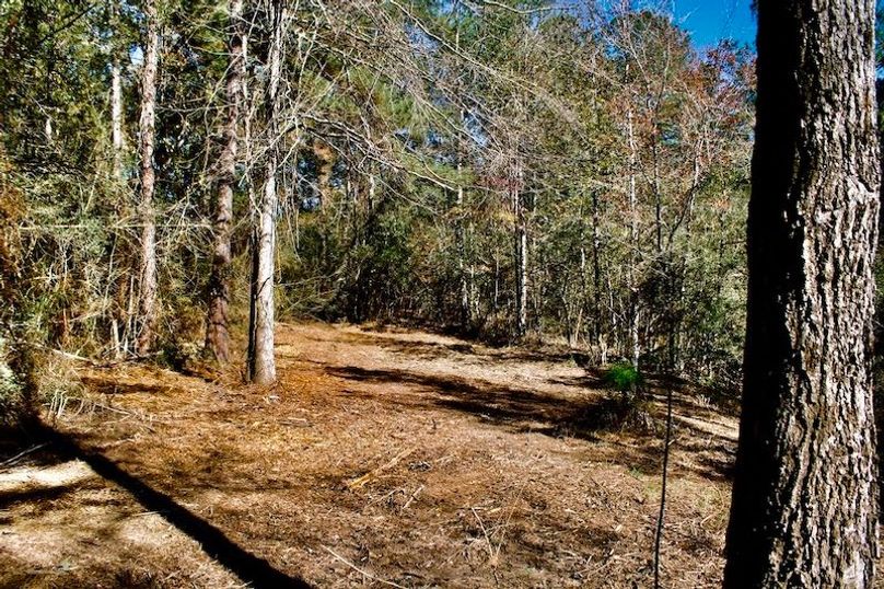 D3F075AA-3D0E-4EB5-AFF5-202B0CB7F930_1_105_c