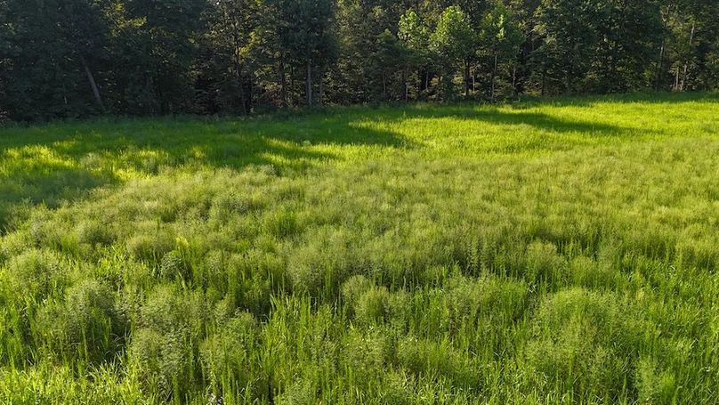 DJI_20250808180527_0784_D