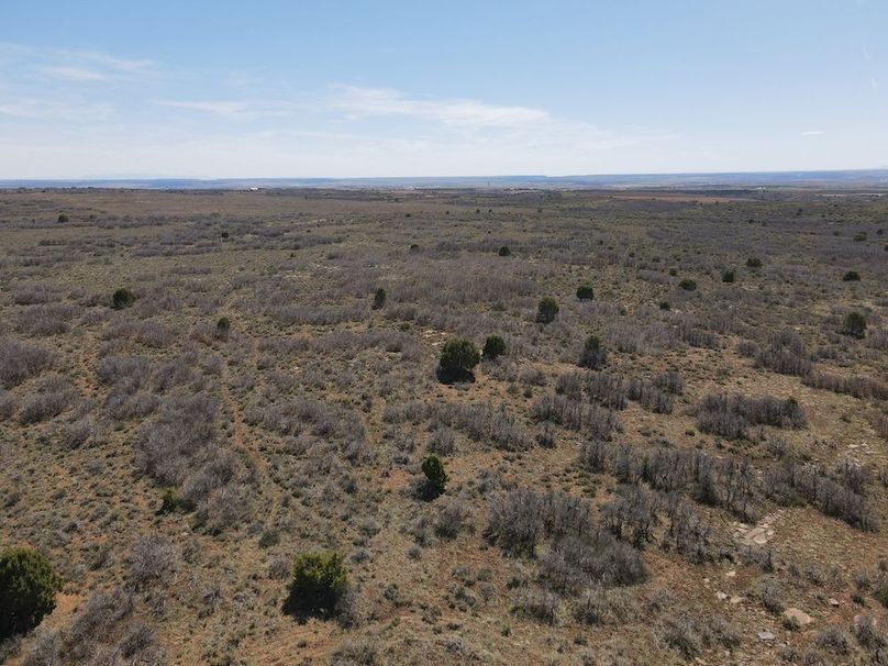DJI_0002