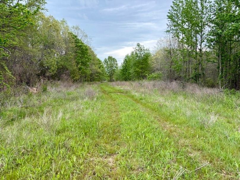 26416B38-4B40-4224-90A8-8817D68A6847_1_105_c