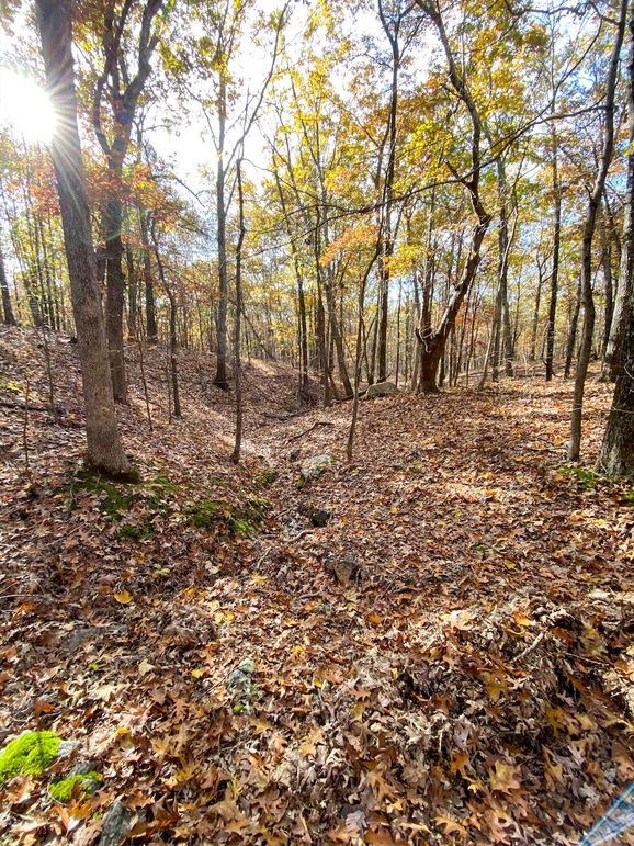 ReservoirHill_2019__ss_-40